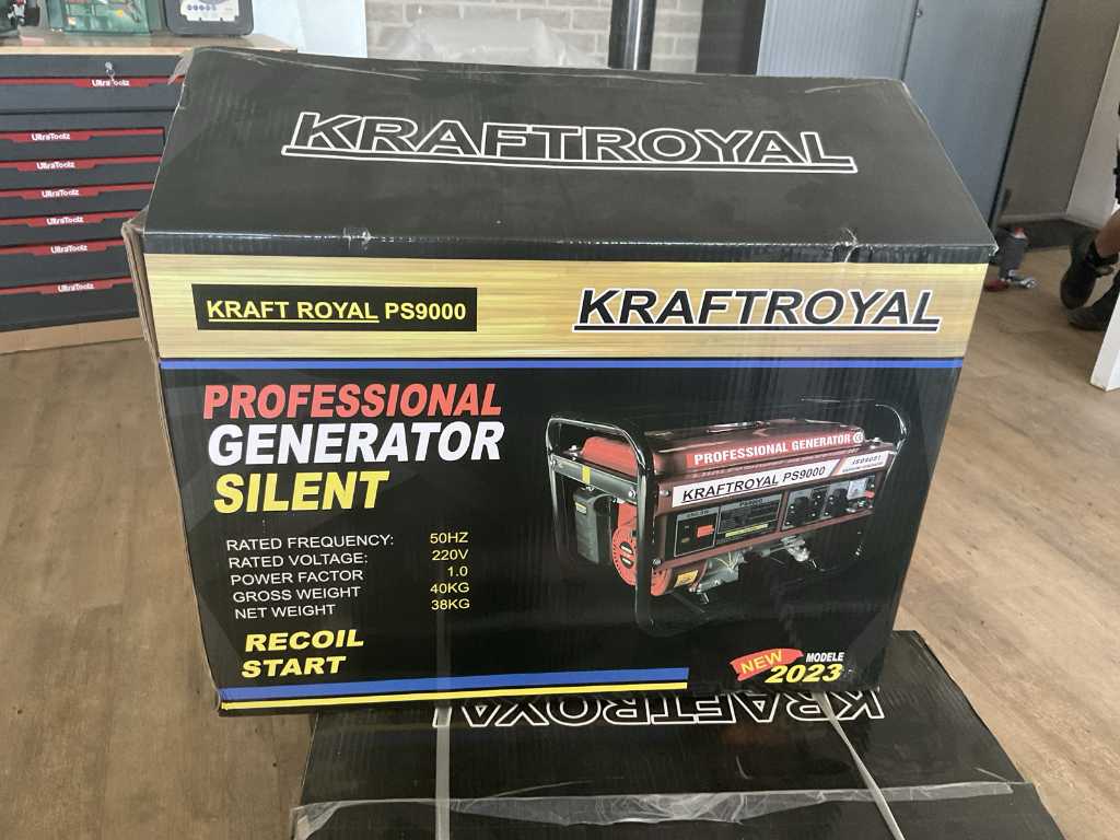 Générateur de vapeur Kraftroyal PS9000