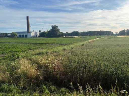 600 m² property plot in Gusow, Brandenburg - Germany