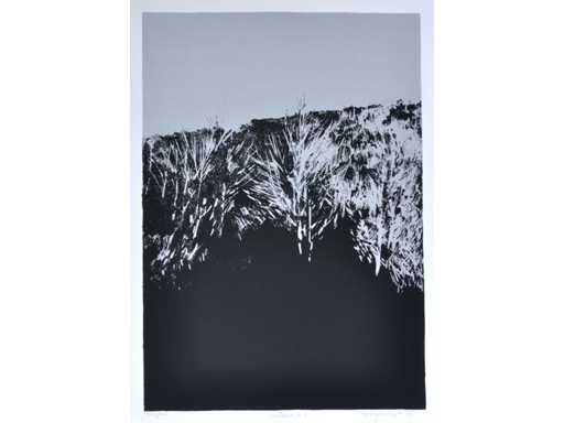 Rob Bruyninckx - Colour screen printing