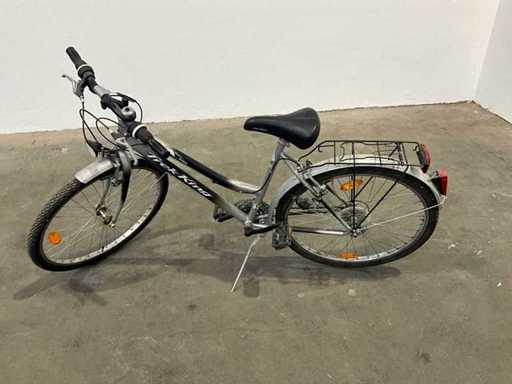 Fahrrad Trek King