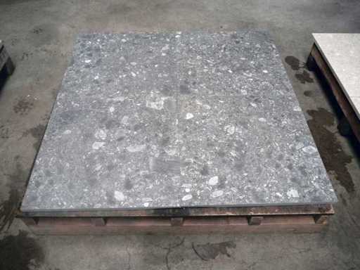 Keramische tuintegels  (ca. 64.8m²)