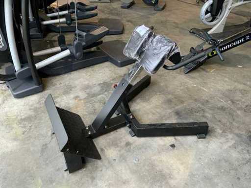 AP développé couché hyperextension Multi-gym