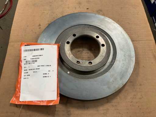 Disc brake rotor (2x)
