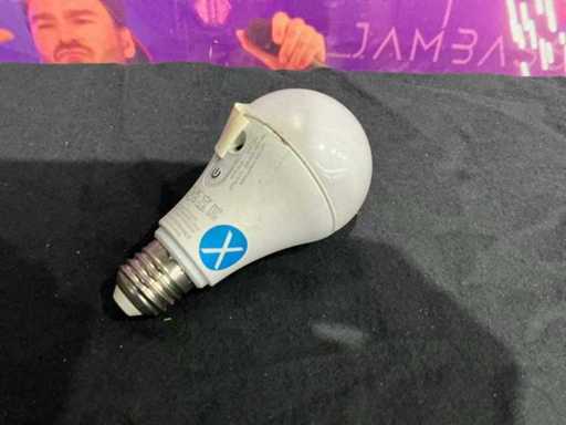 Astera - FP5 NYX bulb - Spotlight (13x)