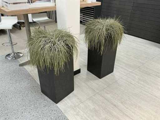 Oshimensis kunstplant (2x)
