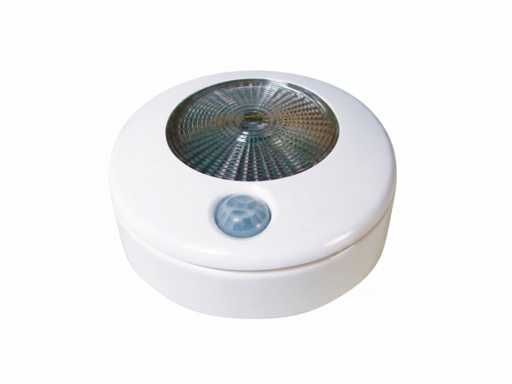 Waterproof LED lamp with motion sensor 12/24V white - 4000201