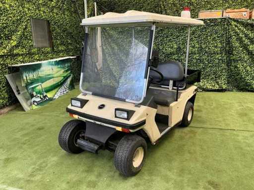 Voiturette de golf à toit long Melex