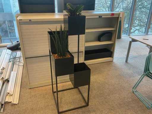 Plantă hidroponică cu jardinier