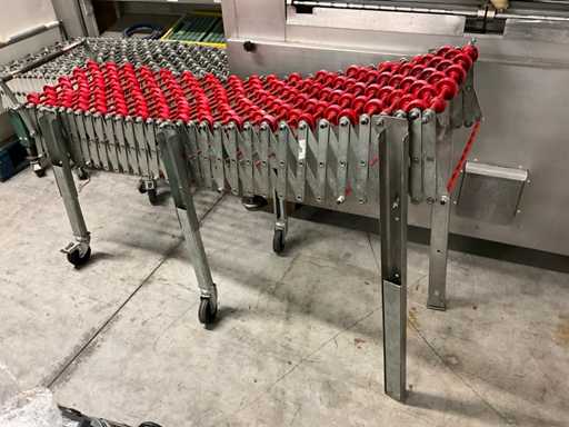 Convoyeur à rouleaux (2x)