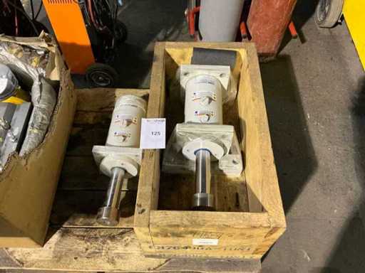 Amortisseur hydraulique industriel Endine (2x)