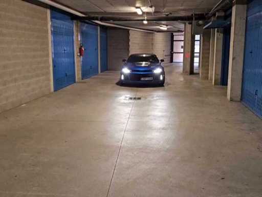 document_6001391621273295857.mp4