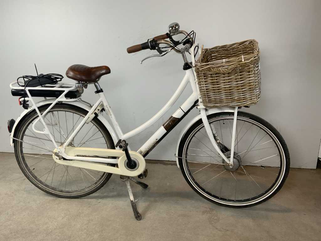 Elektrofahrrad