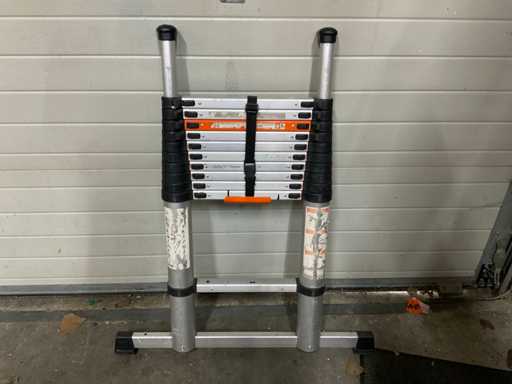 Powerfix Telescopic Ladder