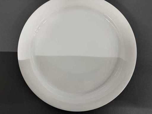 Winterling - Porseleinen Bord (50x)