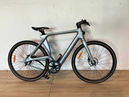 Fiido 31 Elektrische herenfiets
