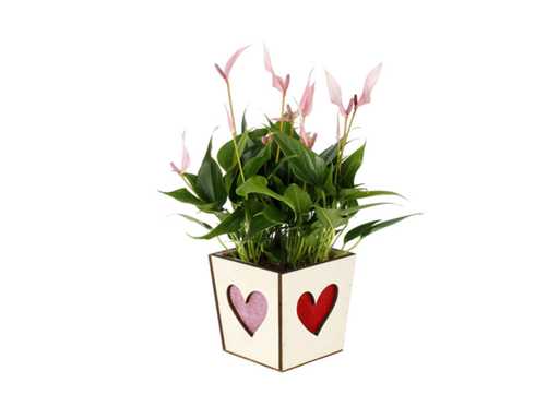 Legno Pot Love 13,2x13,2xH. 13cm (1093x)