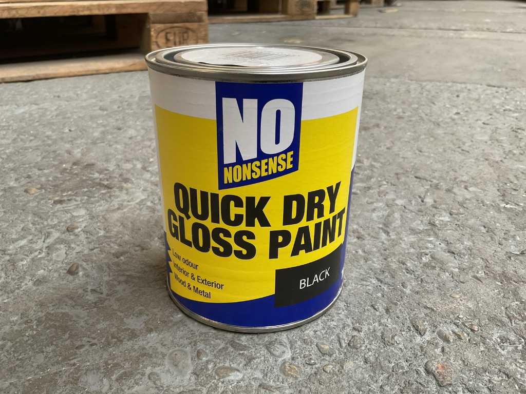 NoNonse Quick dry gloss paint Paint (60x)