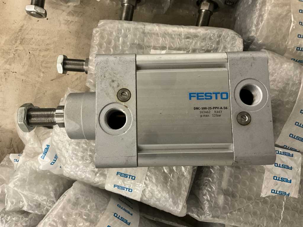 15x Pneumatic cylinder FESTO DNC-100-25-PPV-A-56