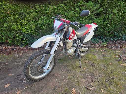 Yamaha - Enduro - TT 600 (R) - MY-24-RV
