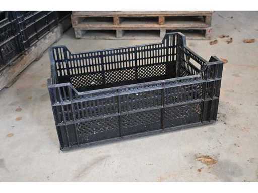 Lăzi de fructe din plastic BulbfustBV / RingoPlast (340x)