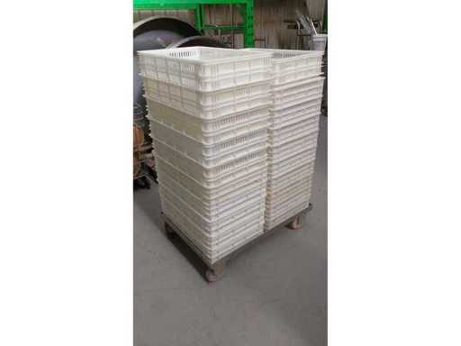 Perforierte Teigboxen (10x)