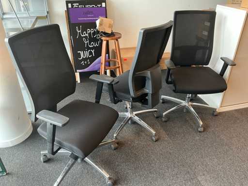 Sitland Ergonomic Office Chair (3x)