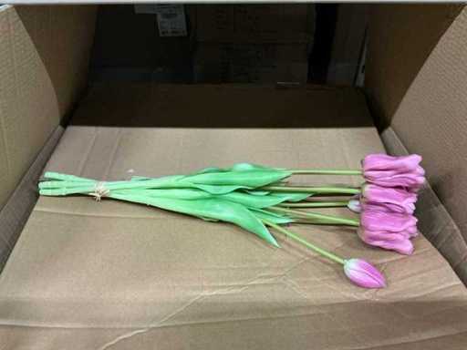 Lot Punk tulipanów 47cm fioletowy 7/bułka (48x)