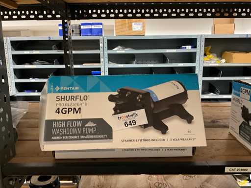 Pompa dell'acqua Pentair Shurflo