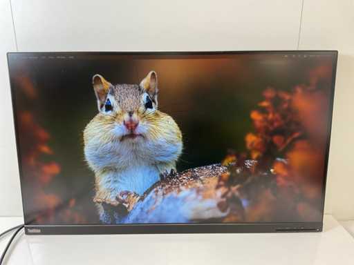 Lenovo (P32p-20) 32", 3840x2160 (UHD) IPS Monitor