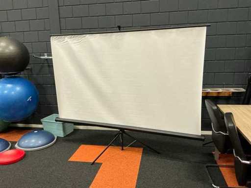 Projection screen (2x)