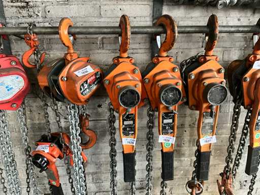 Seleziona Tenditore per paranco a catena