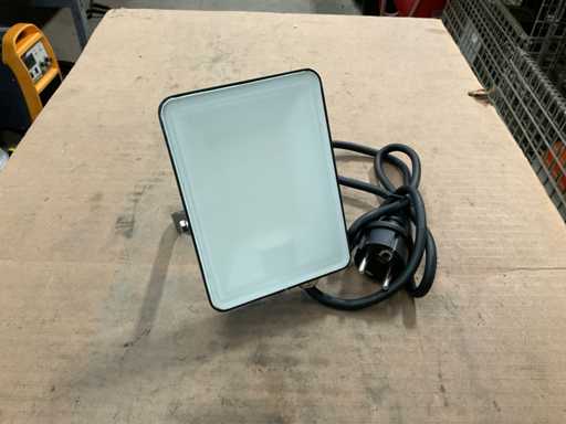 Fluxon LB20F Flutlicht