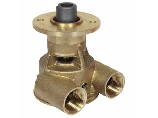 Johnson SPX Flow F5B-9005 bronze impeller cooling water pump flange assembly