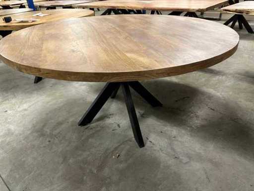 XXL mango rond 150 cm  5 CM DIK BLAD   MET SPINPOOT