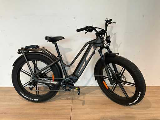 Fiido M 25 Fatbike