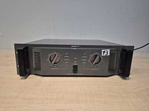 Amplificatore Sony SRP-P300