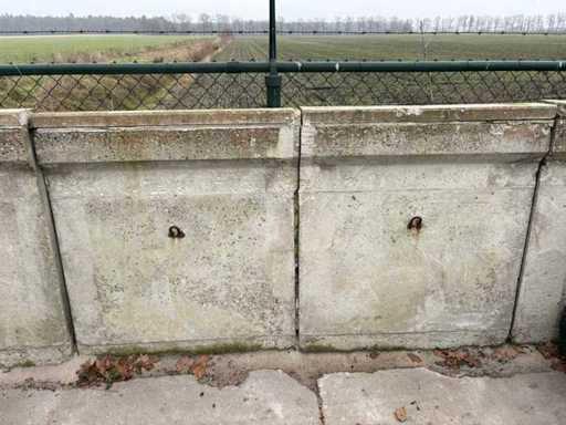 Ziduri de sprijin (43x)