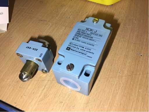 Limit switch