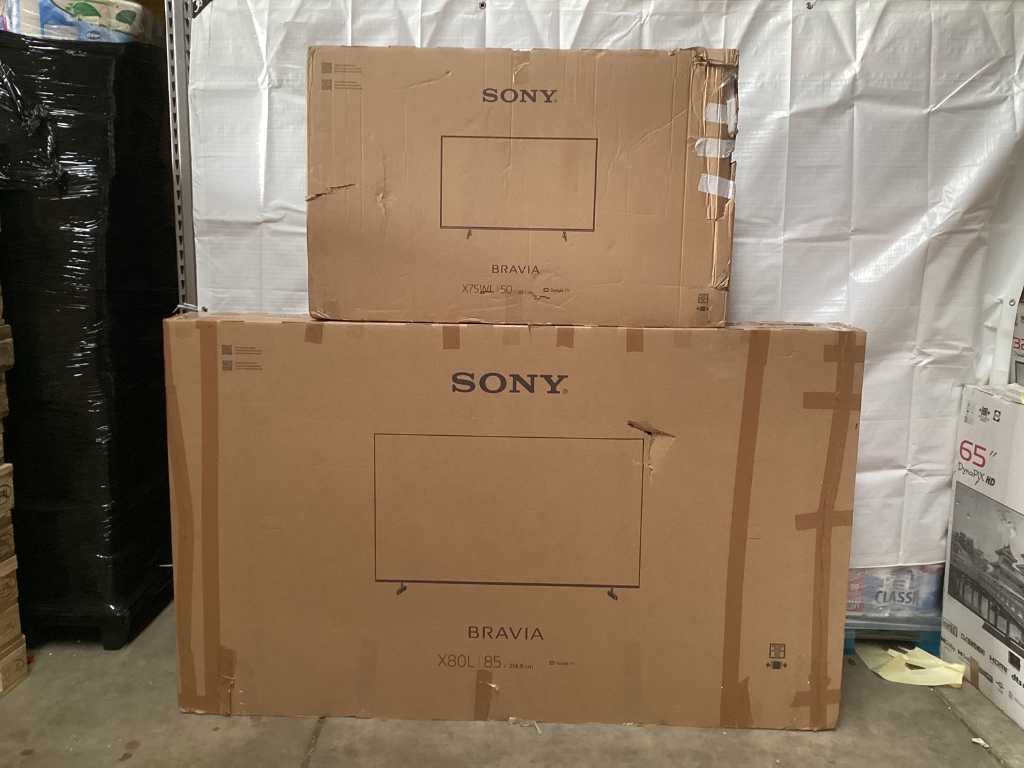 Sony - Bravia - Television (2x)