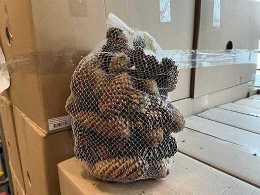 Batch of Spruce cone natural 1kg per net (128x)