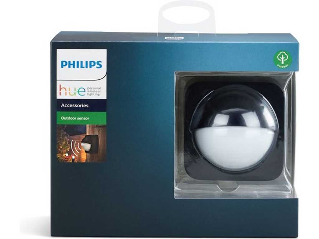 Interruttore con sensore di movimento Philips Hue (2x)