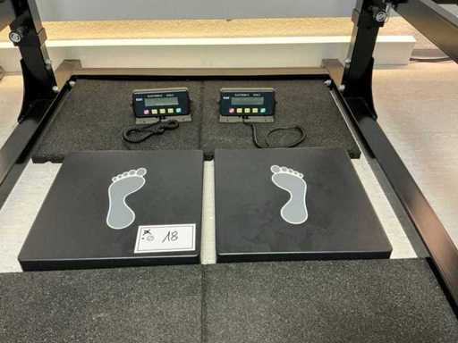 G&G PSB-300 Plate Scale