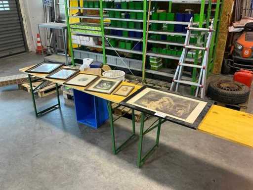 Gemengde lotje foto's (6x)