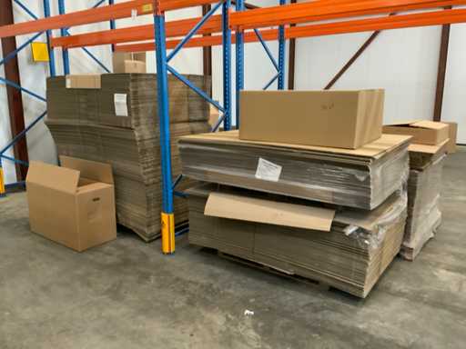 Kartonnen vouwdoos (234x)