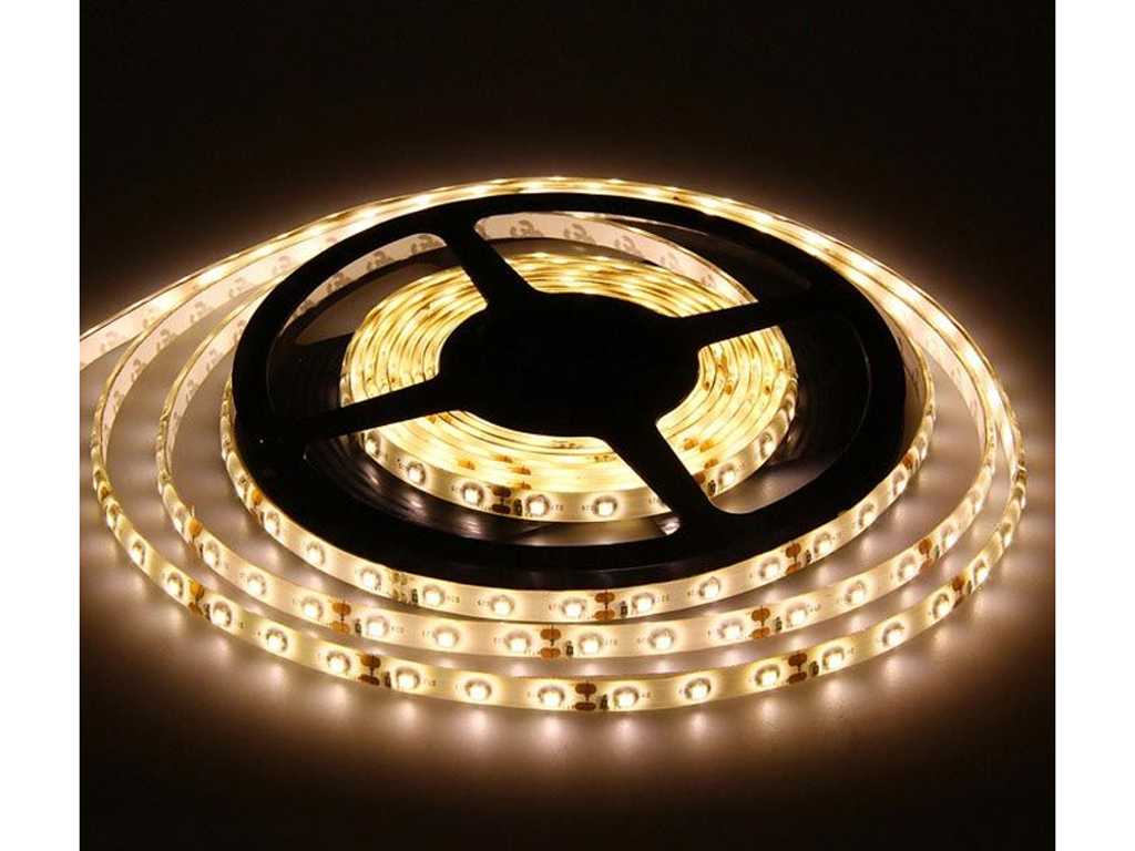 10 x Pro LED Strip 5 Meters Roll, 3000K Warm White, Dimmable