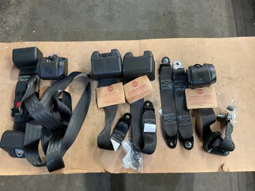 Pas bezpieczeństwa dla pojazdów