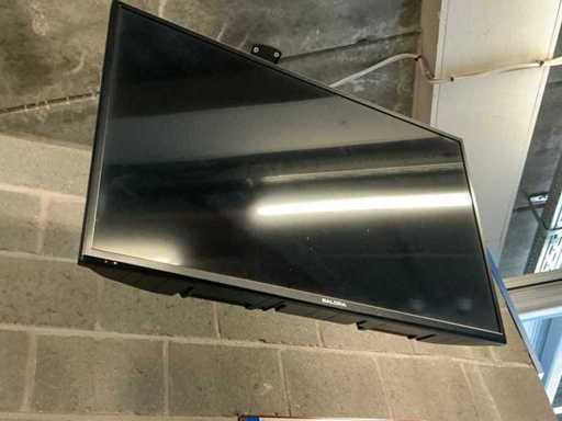 SALORA Television