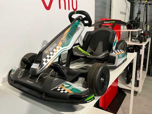 Segway Pro Elektrische Gokart