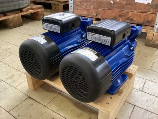 LOWARA Unused Pump (2x)