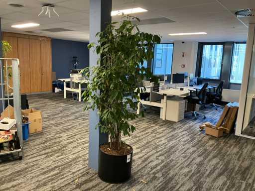 Decorations, plants and office accessories